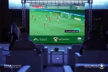 Screens broadcasting national team matches Screens broadcasting national team matches