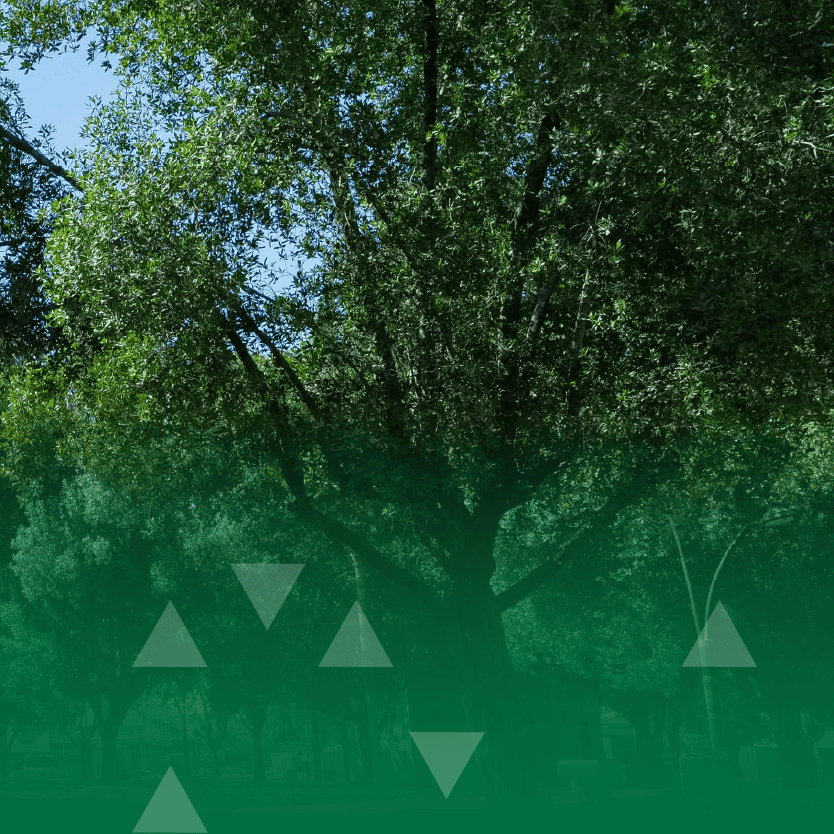 أمانة الرياض تطرح التصويت لتسمية 7 حدائق في عدد من أحياء العاصمة ضمن مبادرة "أهلها يسمونها"