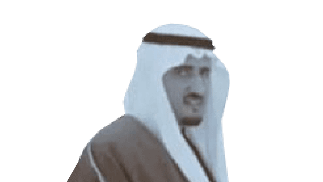 الأمير/ عبدالعزيز بن سليمان بن ثنيان