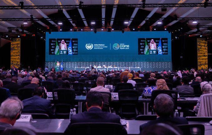 Sixteenth Conference of the Parties to the United Nations Convention to Combat Desertification (COP16) Sixteenth Conference of the Parties to the United Nations Convention to Combat Desertification (COP16)