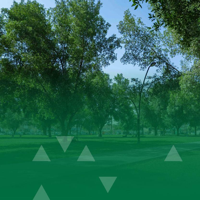 أمانة الرياض تعلن عن مشروع إنشاء حديقتين كبرى شرق العاصمة وجنوبها بمساحات تزيد عن 317 ألف متر مربع