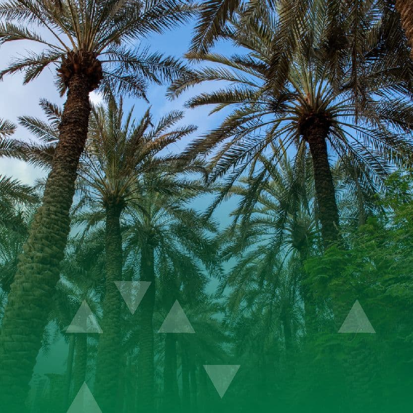 Riyadh in January 2026