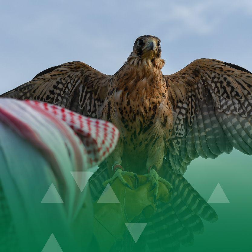 Saudi International Falcons and Hunting Exhibition
