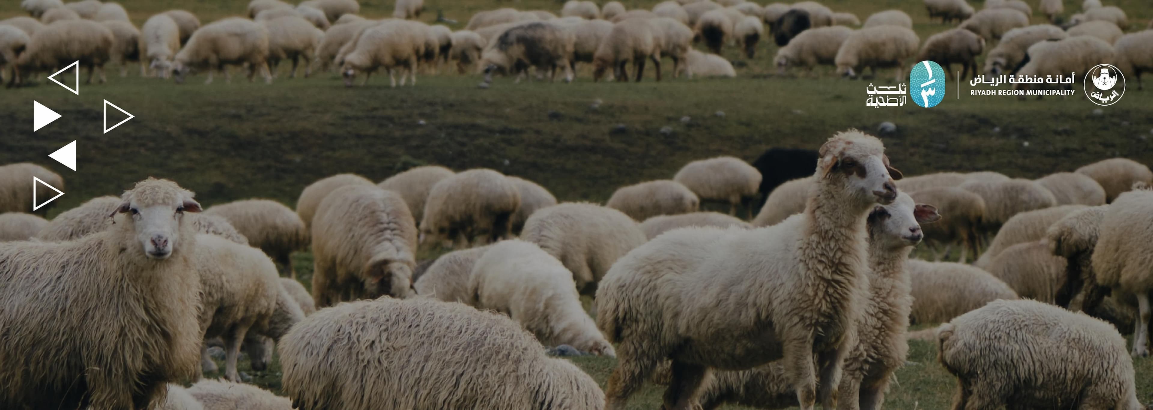 In the #Humanitarian_Riyadh, a continuation of goodness… an impact worthy of recognition