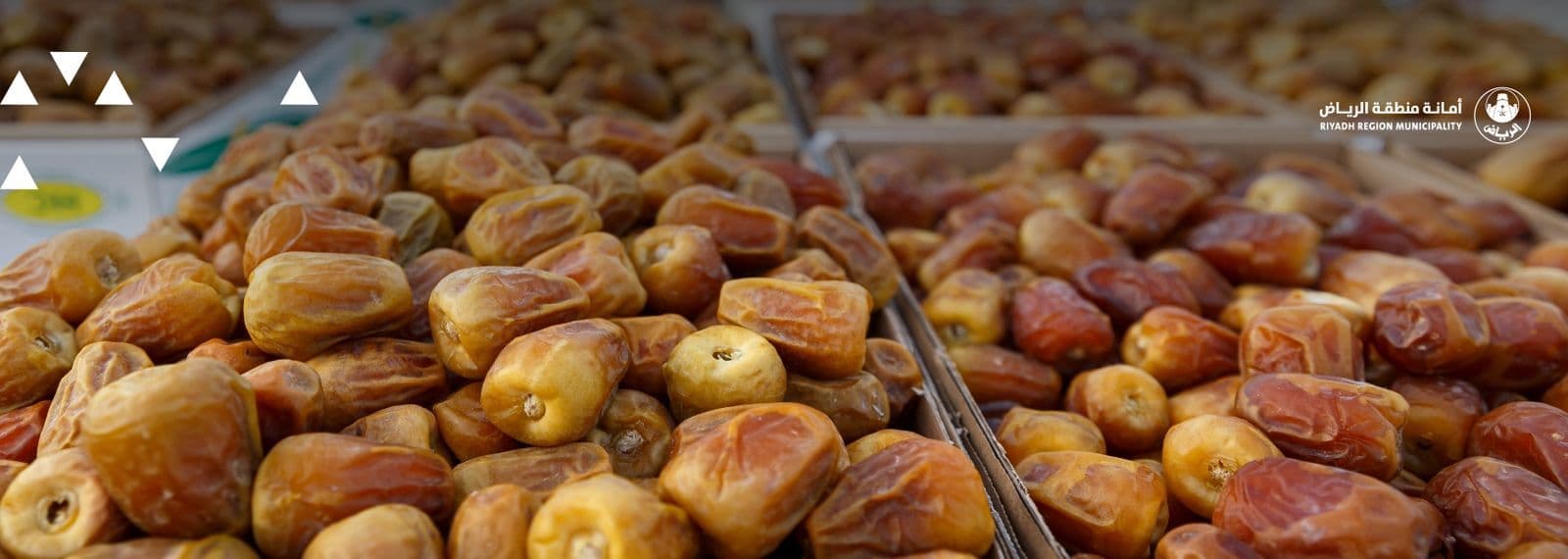 موسم عتيقة للتمور | النسخة الرابعة