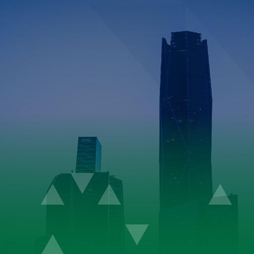برنامج تحول الرياض البلدي